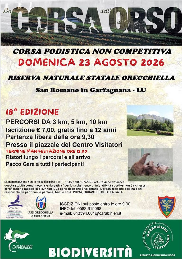 18° Corsa dell'Orso