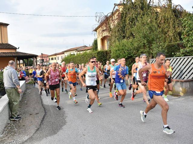 Attraverso il verde dei vivai pistoiesi a Marco Sagramoni