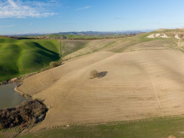 Tre mesi alla 1a Crete Senesi Ultramarathon di sabato 6 maggio, iscrizioni con promo di San Valentino
