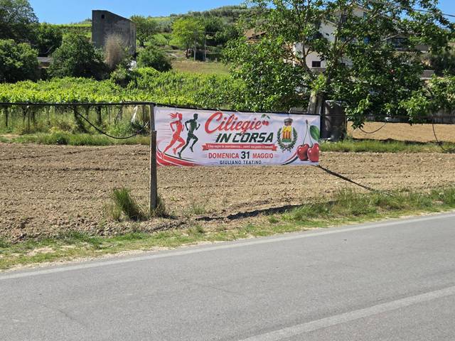Podismo ed enogastronomia: a Giuliano Teatino scatta la seconda edizione di Ciliegie in Corsa