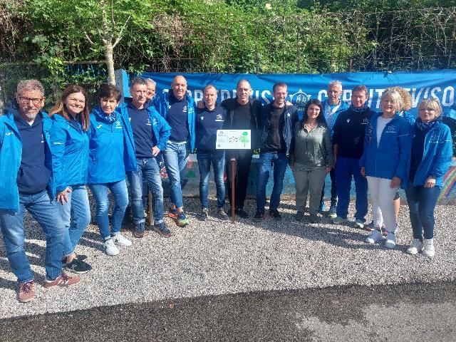 “Adotta il verde”: CorriTreviso dona cinque alberi alla città