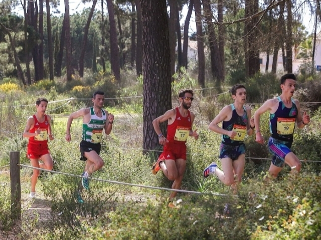 La Campania corre in Europa: ad Albufeira il sogno continentale di Arca Sparanise e Caivano Runners