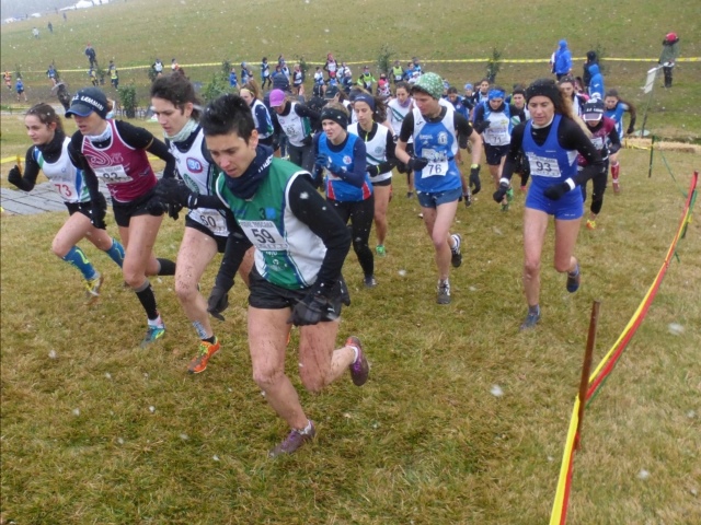 Campionati italiani di corsa campestre a Campi Bisenzio: tre settimane all'evento