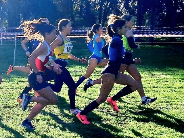 Cross C.R.I./ CdS di Corsa Campestre - Hinna Atletica Sant’Antimo organizza con successo i Campionati Regionali
