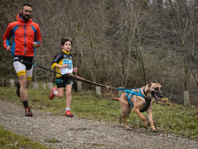 Domenica 18 settembre appuntamento a Valtorta (Bergamo) con Dog Fun Run