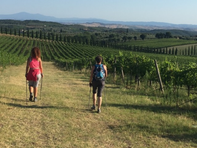Ecomaratona Chianti Classico: c'è il 1° Trekking