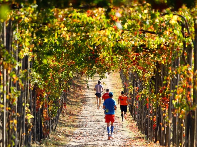 Per vivere un sogno aperte le iscrizioni 15^ EcoMaratona del Chianti Classico