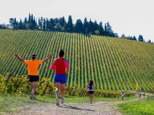 I percorsi della 17^ EcoMaratona del Chianti Classico,  il fascino della vigna tra i colori dell’autunno