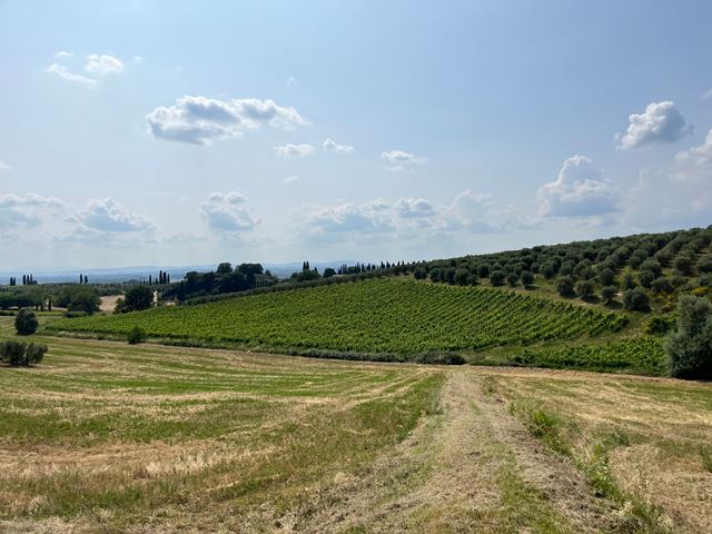 17^ EcoMaratona del Chianti Classico e SportLab, il nuovo sodalizio