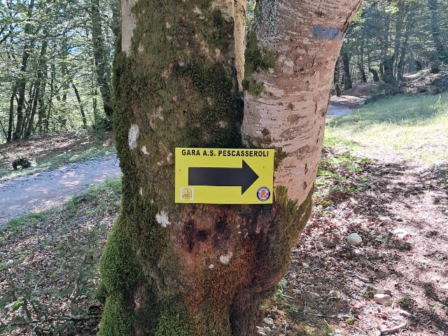 Ecolonga, non si arriva a 37 edizioni per caso…
