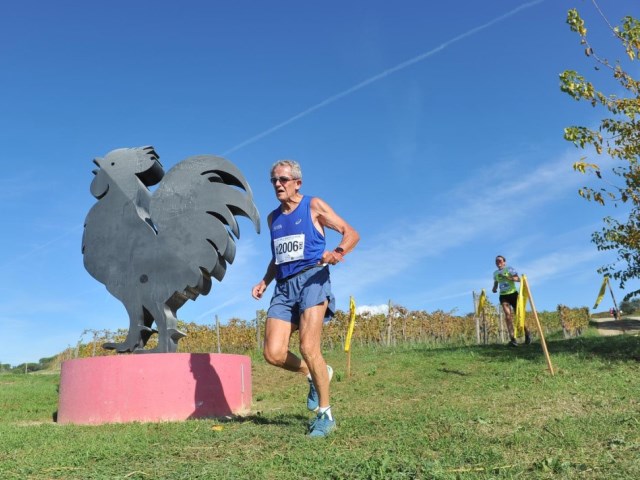 17^ EcoMaratona del Chianti Classico  annuncia la collaborazione con Fulvio Massini - consulenti sportivi