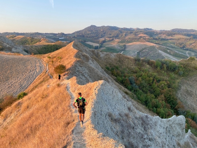Krash Trail, Galeati a caccia del tris