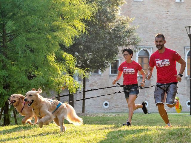 Anche «Dogs & Run» del 9 Novembre avrà una sua medaglia in mosaico