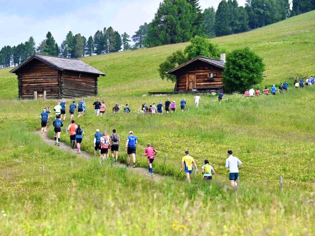 La Mezza Maratona Alpe di Siusi si conferma una calamita per i podisti