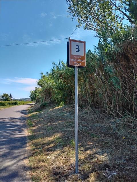 Tutto quello che c’è da sapere sulla 52°edizione della Miglianico Tour con 600 atleti al via