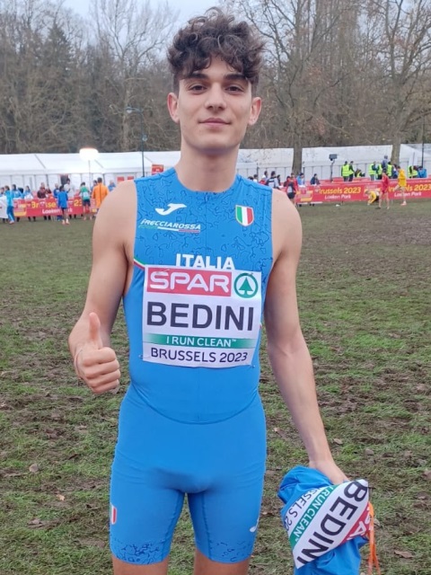 Bedini azzurro sui prati di Bruxelles