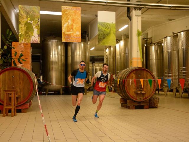 Già oltre 200 iscritti alla Prosecco Marathon: successo per il lancio della nuova 42 chilometri