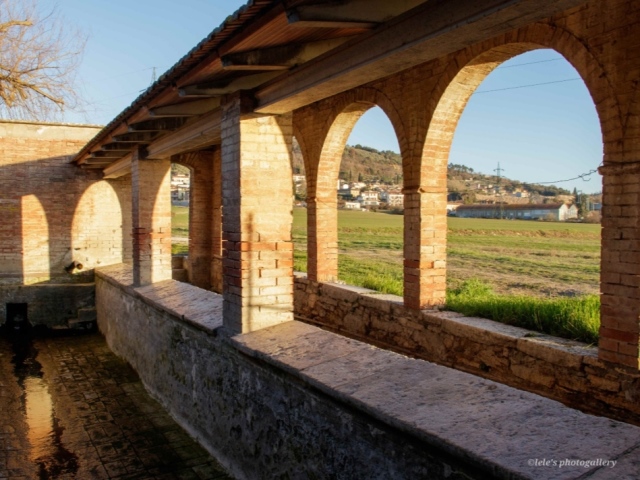 1a Crete Senesi Ultramarathon, tutti i numeri di un fine settimana ai confini del tempo