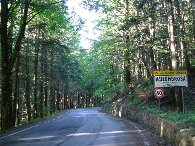 Reggello-Vallombrosa, una salita che vale un titolo