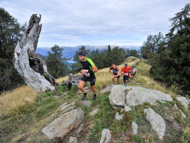 Torna la Rosetta Vertical Trail Run