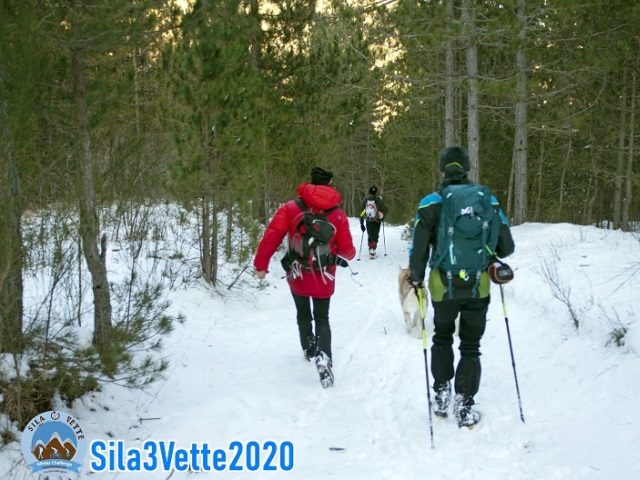 Sila3Vette, mercoledì inizia l’avventura