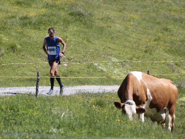 Stelvio Marathon e.. Giro d'Italia sul "Magic pass"