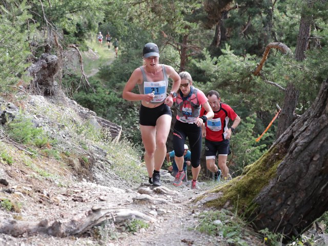 Sabato la 5a Stelvio Marathon: la corsa nel territorio del Gipeto