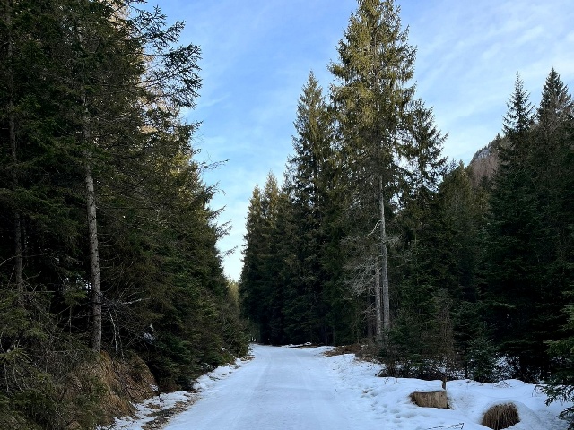 StrafeXpedition Winter Ghel, sarà sfida fra neve e sole