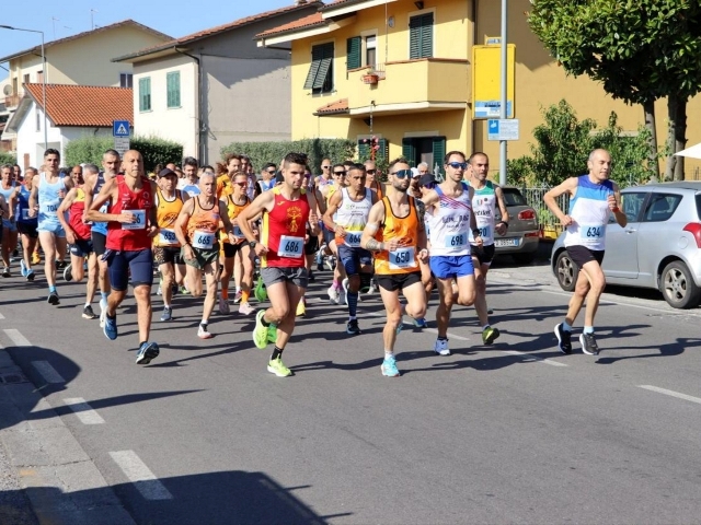Il 7 giugno nelle campagne di Pieve a Nievole