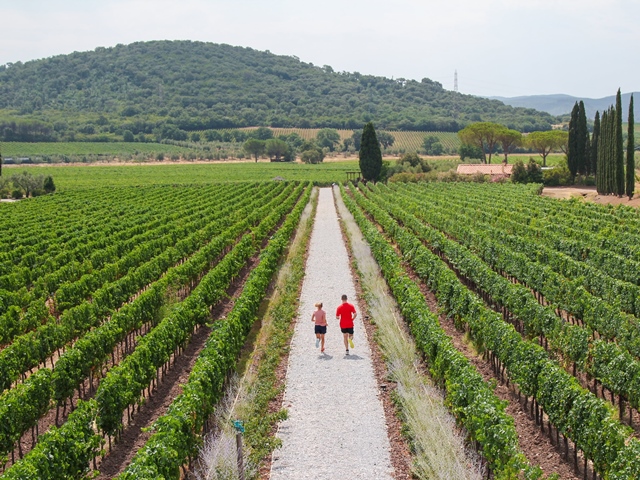Ad Ottobre si corre la Super Tuscan Ecomarathon per scoprire il fascino della Costa degli Etruschi
