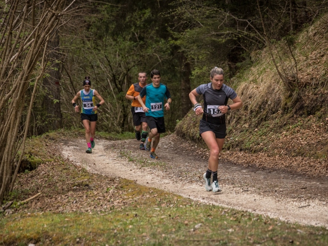 A Lozzo di Cadore è il fine settimana del Trail de le Longane