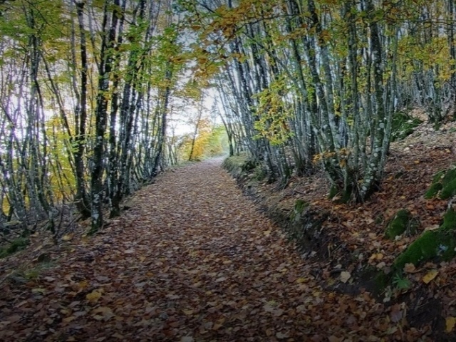 Trail Monte Cetona, sfida impegnativa ma intrigante