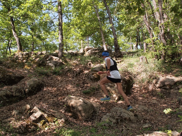 Dal Blog di Orlando Pizzolato: road runners e trail runners