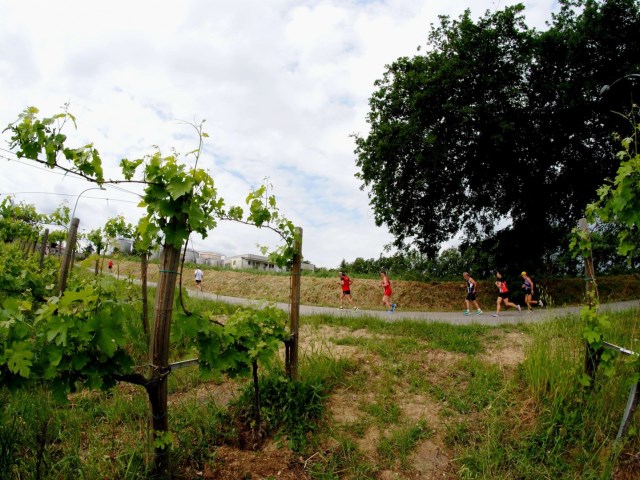 Frisa, Badia di Frisa e Guastameroli: i Tre Borghi da percorrere tutti d’un fiato il 7 maggio!