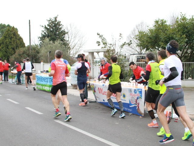 Oltre 700 volontari per la Treviso Marathon di domenica 27 marzo