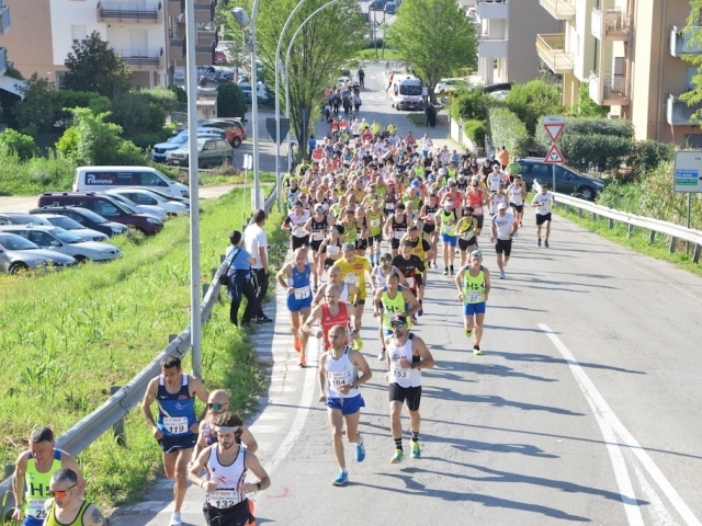 Colli del Tronto chiama, la quinta edizione del Trofeo podistico è in rampa di lancio!