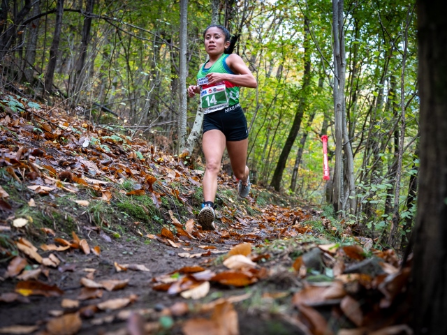 68° Trofeo Vanoni: la preview e i numeri da record