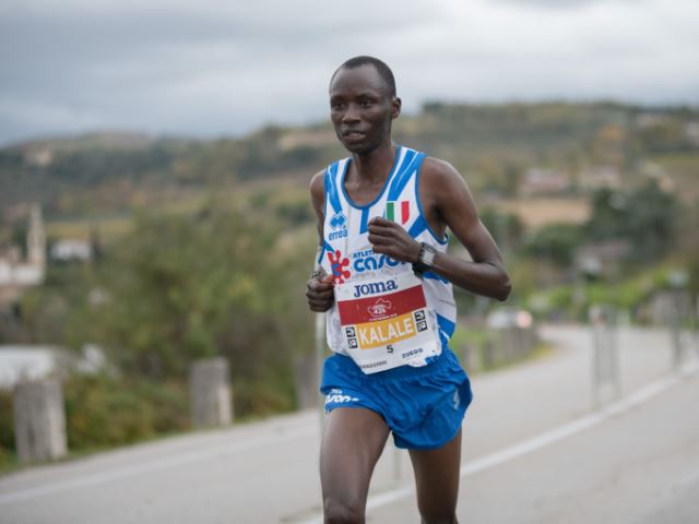 Aperte le iscrizioni per la Verona Run Fast 10K, gara tra le più veloci d'Italia