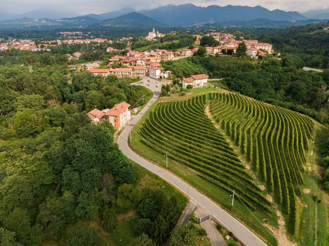 Lessona capitale dell’offroad, domenica arriva l’Ecotrail