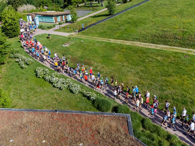 Il 19 Maggio torna la Bologna Marathon in Trail 2024