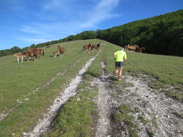 Coscerno Ecotrail