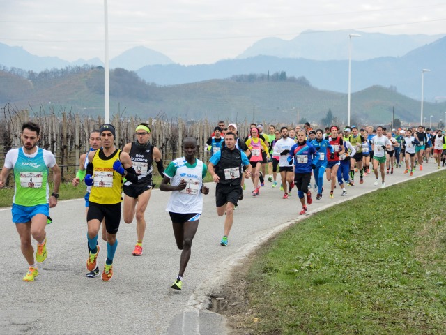 La Conegliano Valdobbiadene Prosecco Marathon corre oltre confine: già oltre 360 gli stranieri