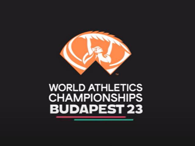 "Vinci lo stage" - Il concorso dei Mondiali di Budapest